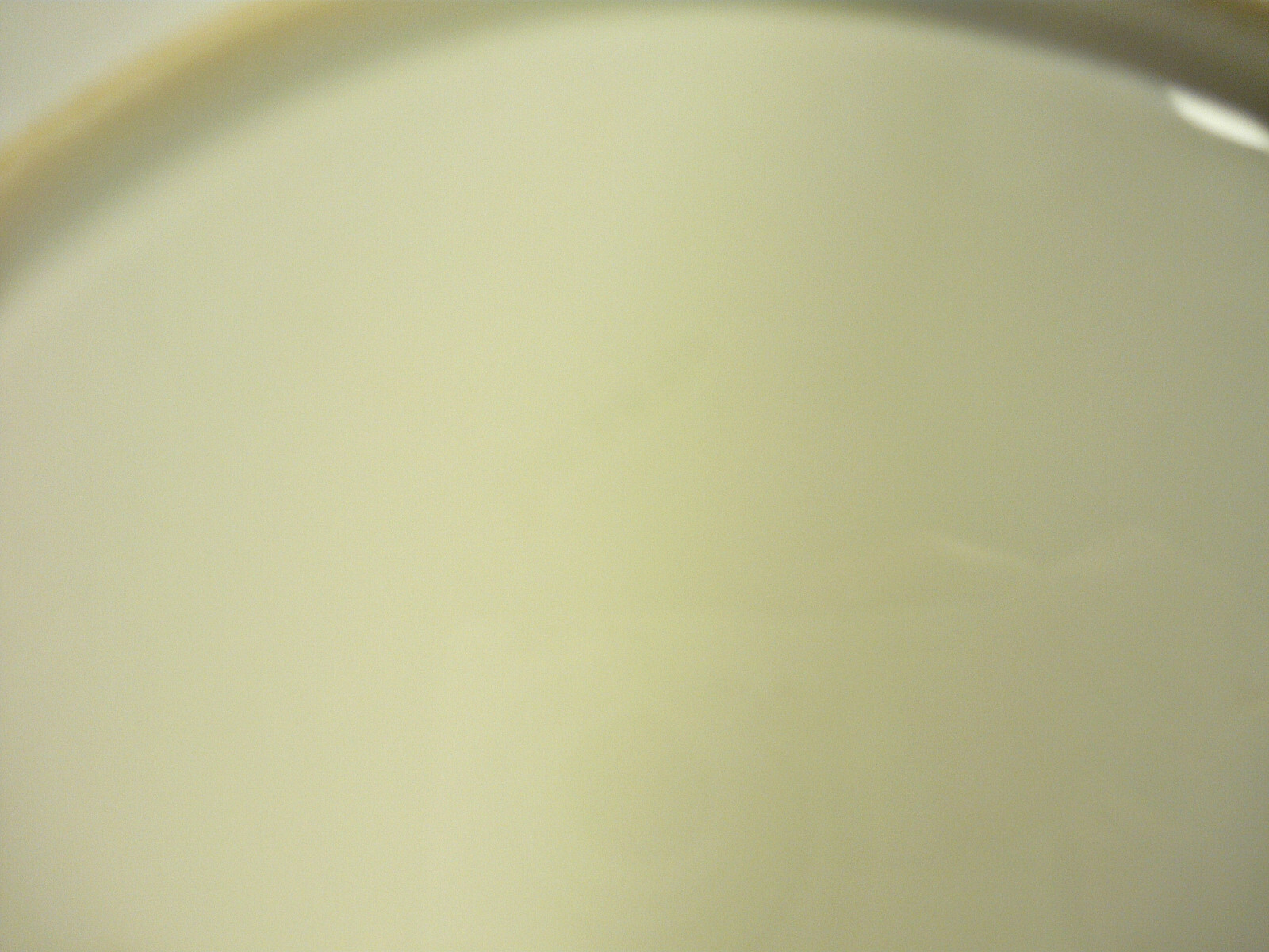Bild 6 von 6