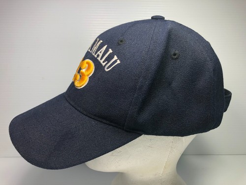 New TROY POLAMALU #43 Pittsburg Steelers Pro Football Hall Of Fame Player Cap - Picture 4 of 6