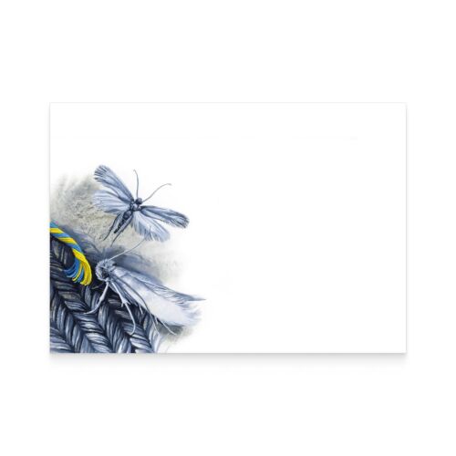 UKRPOSHTA “Insects of Ukraine” 2024 Ukrainian Stamp Set - Picture 4 of 11