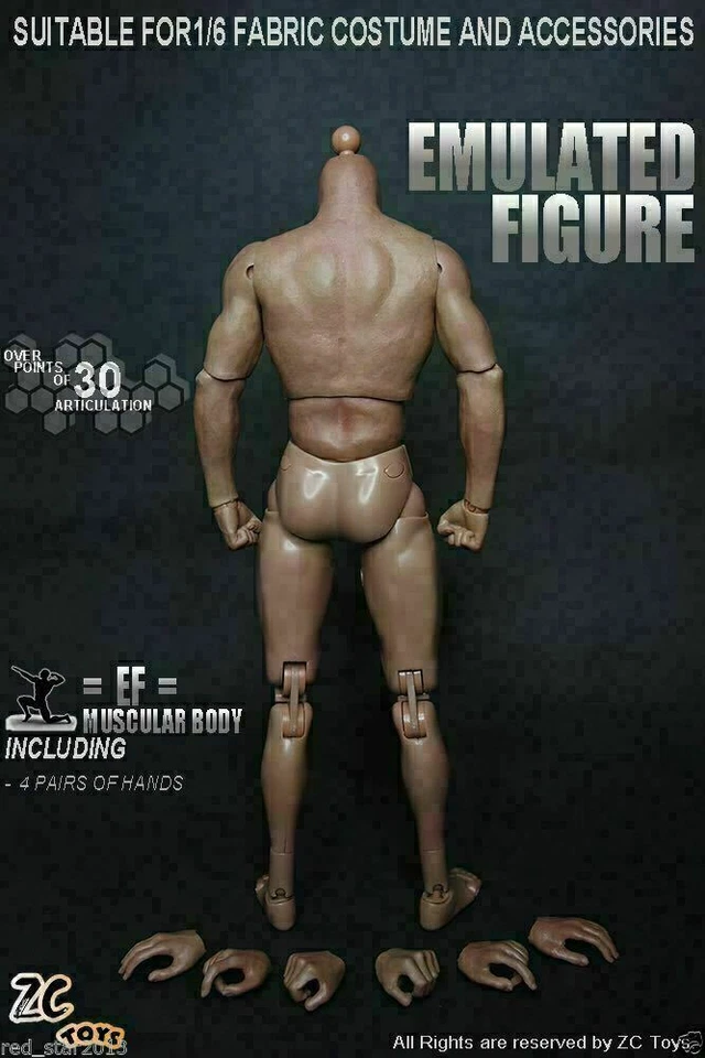 ZC Toys 12" Muscular Male Action Figure Body Fit 1/6 Scale Hot Toys Head Sculpt - Image 2 of 4