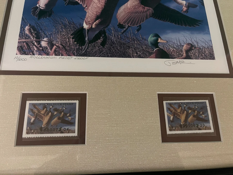2000 California State Duck Stamp Print - Geese  by Robert Steiner Artist Proof + - Image 2 of 3