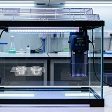 Reptile Feeding Cups Snake Water Dish Gecko Food Bowl Lizard Feeder