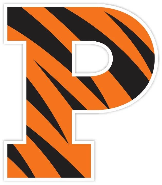 Princeton Tigers Vinyl Sticker Decal *SIZES* Wall CornholeTruck Car