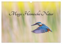 "Calendar 2027 · US Version · Magic Home Nature (Wall Calendar 2027 17\" × 12\" Lan"