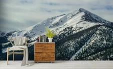 3D Snow Mountain Wallpaper Wall Mural Removable Self-adhesive Sticker 263