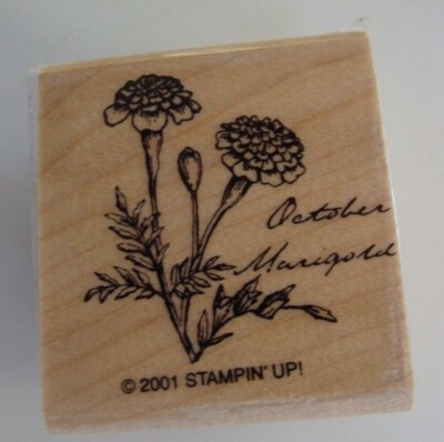 NEW 2001 Birthday Flower Rubber Stamps Stampin Up Flower of the Month YOU PICK