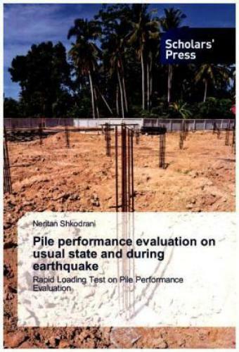 Thumbnail - Pile Performance Evaluation On Usual State And During Earthquake Rapid