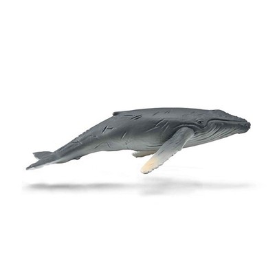 CollectA Buckelwal Kalb
