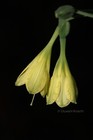 Bild 5 von 11
