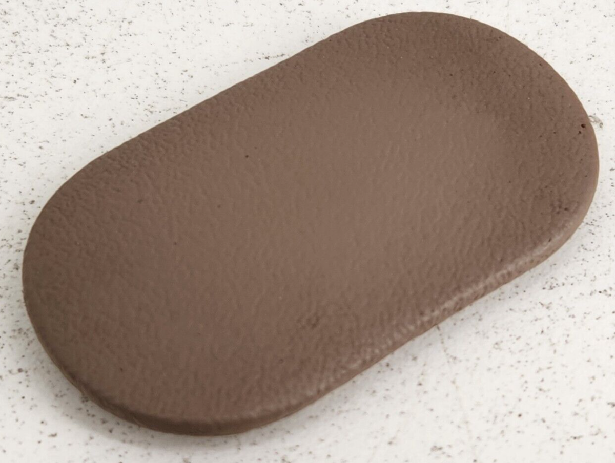 1999 ONLY Ford F250 A-Pillar Grab Handle Bolt Cover Cap F81B