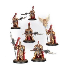 COMMISSION Painted Warhammer 40K Adeptus Custodes Guard Sodality