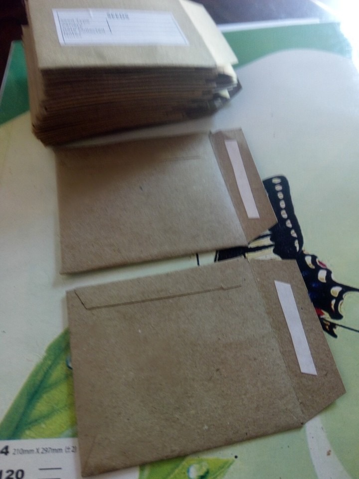 50Pcs Seed Saving Envelopes, Bulk 2.5x3 Empty Paper Packets Seeds ...