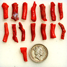 15 Pcs Natural Italian Red Coral Polished Branch 15mm-25mm Rough Gemstones Lot