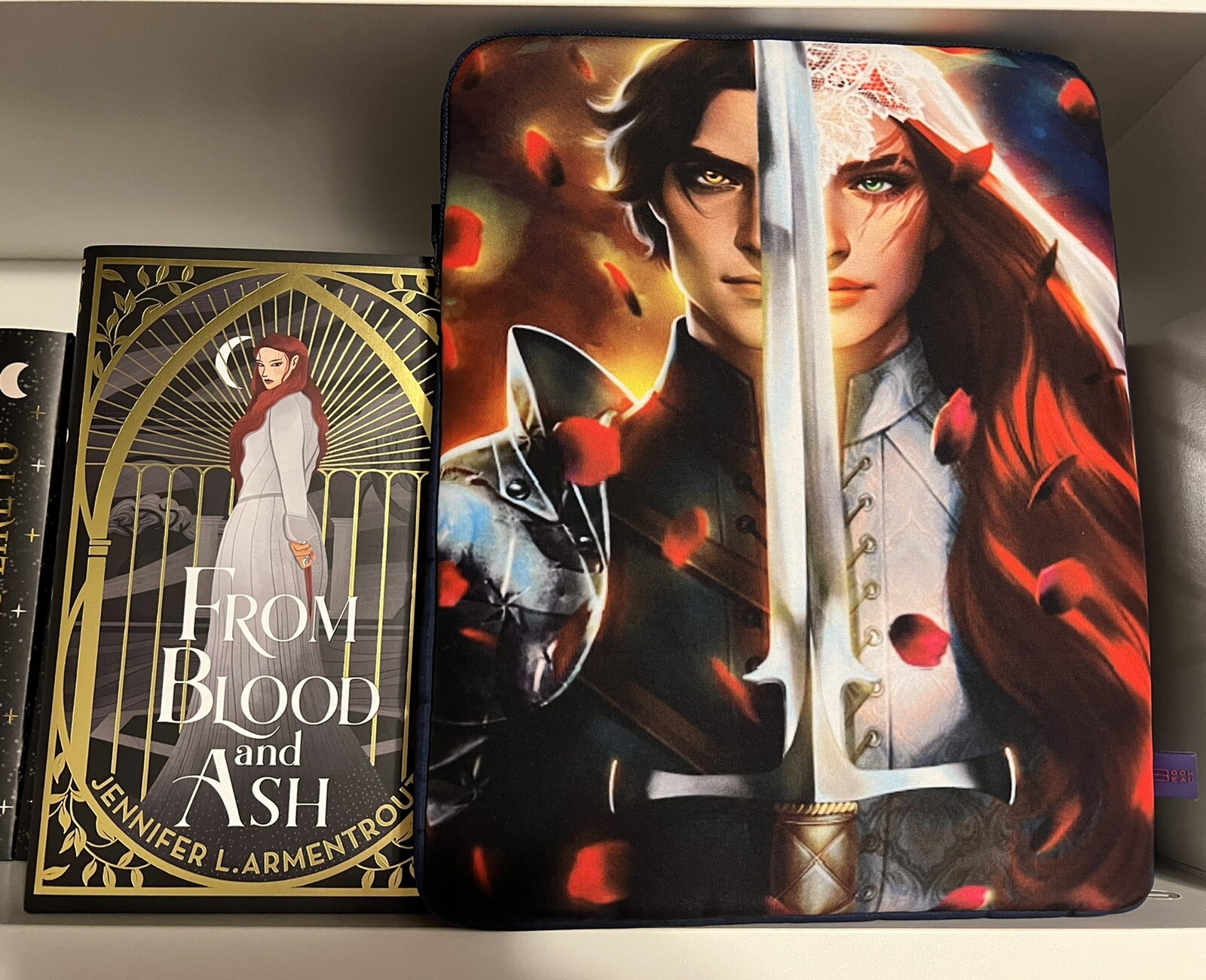 Jumbeau FBAA Book Beau Sleeve We Will Rise From Blood and Ash eBay