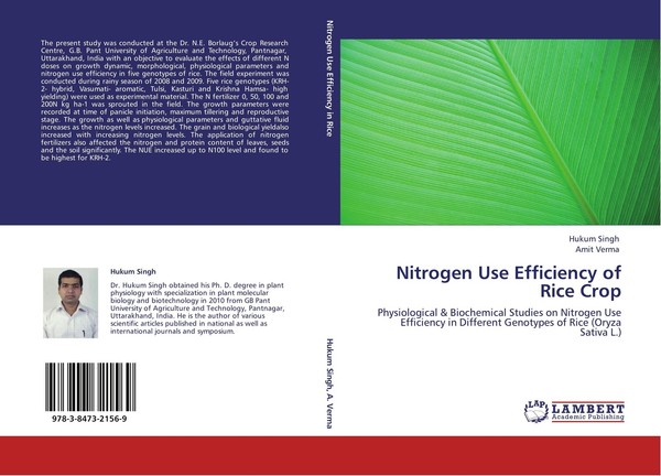 Nitrogen Use Efficiency Of Rice Crop Amit Verma-image