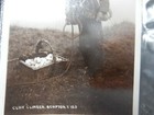 Bild 3 von 5