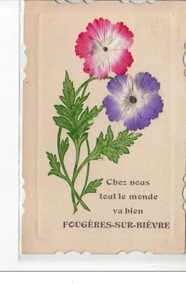 FOUGERES SUR BIEVRE - At home, everyone is fine - very good condition