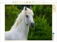 Calvendo Puzzle Portrait Of The Lipizzaner Stallion Pluto Darina | 1000 Pieces,