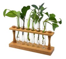hBARSCI Premium Plant Propagation Station with Hardwood Stand  6 Test Tubes