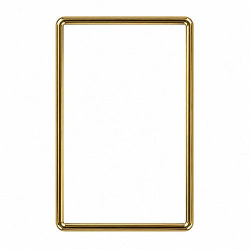 GradedGuard Original Gold PSA Graded Card Protector Guard Case Limited Edition