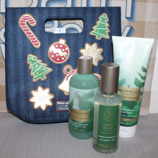Bath  Body Works Eucalyptus Mist, Body Lotion, Body Wash  Gift Bag