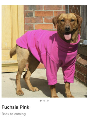 Rosa Valiant Hundepullover Größe L