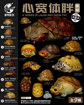 Animal Planet A Series Of Laugh And Grow Fat No.8 Turtles Pack Of 8 Figures