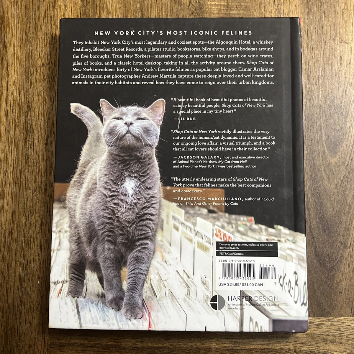 Shop cats of new york 2025