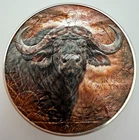 African Buffalo -  American Silver Eagle 1oz .999 Silver Dollar Coin Gift