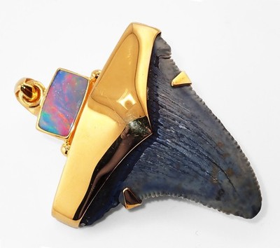 Fossil Shark Tooth Pendant   P. Orientali Tooth W/ 24K Gold Over Sterling Silver