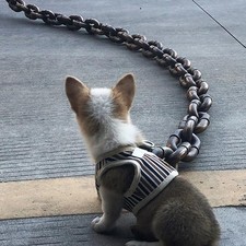 2M/6.56 Ft Dog Traction Chain Simulation Like Iron Chain Shock-Absorbing Lead