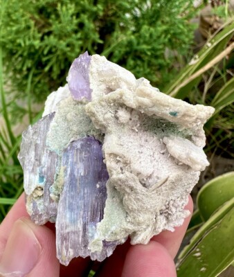 355 CTS Natural Purple Colour Kunzite Crystal With Matrix