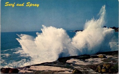 Vintage Surf and Spray Chrome Postcard - California Coast by Hilt Hansen