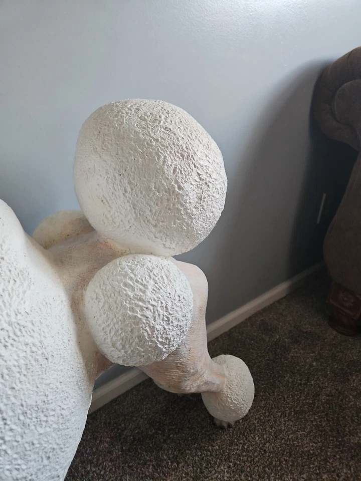 Estatua de caniche tamaño real Foto 4 de 4