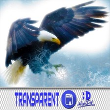 100 EAGLES TRANSPARENT PNG PHOTOSHOP OVERLAYS, ISOLATED ANIMALS PNG FILES, BIRDS