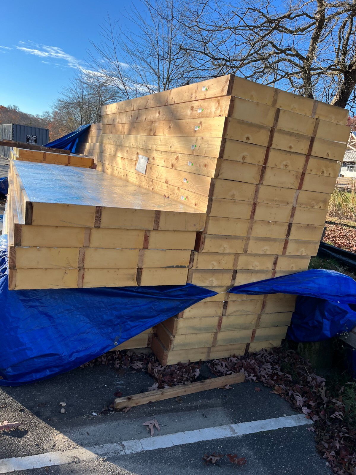 Raycore SIP Panels 5 1/2 Inch Thick 4 x 12 R 42 Rating 2 x 6 16" OC