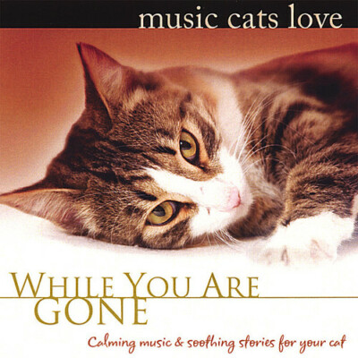 Music Cats Love: While You Are Gone by Bradley Joseph (CD, 2008)