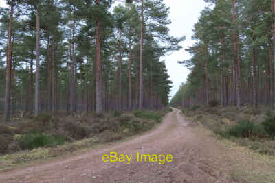 Foto 6x4 Straße in Low Wood Clodymoss einige mehr von den vielen Meilen Vorlauf c2022
