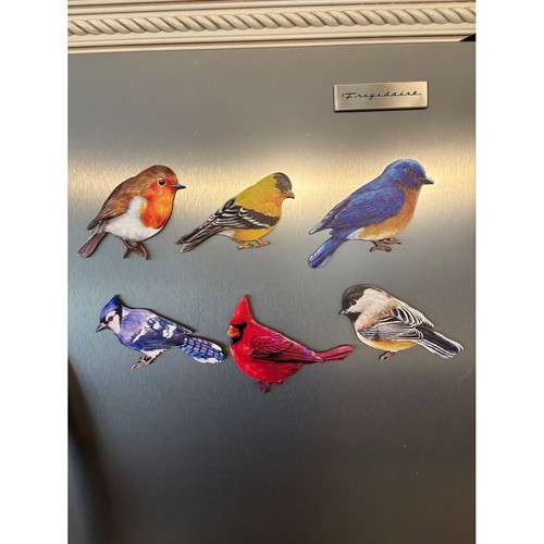 6🐦⬛Bird Magnet Set - Colorful Decorative Bird Magnets for Fridge