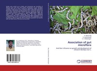 P. Mohan Raj (U. A.) | Association Of Gut Microflora | Taschenbuch | Englisch