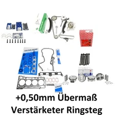 Repair Kit Chain Bearing Oil Pump Piston + 0.50 for VW CAV 01-37045-01 730.300 1300