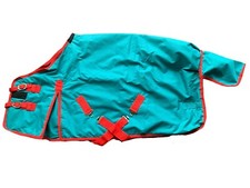 Mini Shetland Pony Foal