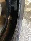 Picture 6 of 6