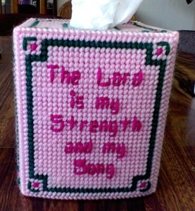 INSPIRATIONAL TISSUEBOX COVER - MAY - PLASTIC CANVAS - BOUTIQUE