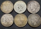 Lot of 6 album pull toned Peace dollars 1923, 1923, 1923,1924,1924,1926