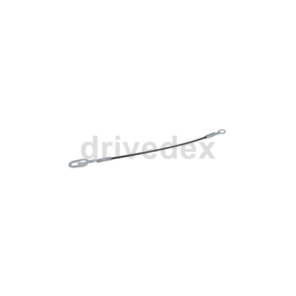 Par de cables de soporte para puerta trasera Dorman - AYUDA para Dodge Ram 1500 2000 2001 1994 Foto 3 de 4