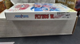 FLYING WARRIORS NINTENDO NES VIDEO GAME IN BOX NO MANUAL W/ PROTECTOR