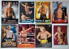 WWE  / WWF  CHRIS JERICHO Trading Card / Stickers  LOT US + UK no doubles