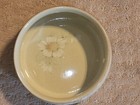 Denby Daybreak Salad / Fruit Serving Bolw from England — photo 3