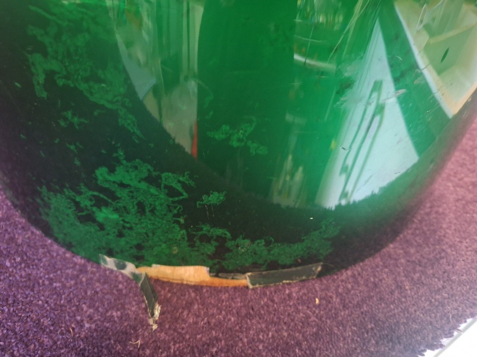 Pearl Floor Tom Drum 16"W x14"D Batter head only with mounting arm eBay